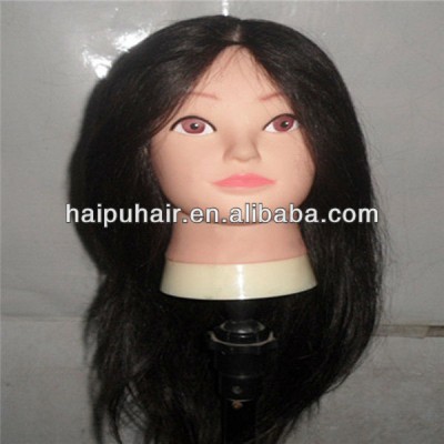 Training head/mannequin head for hairdressing school students